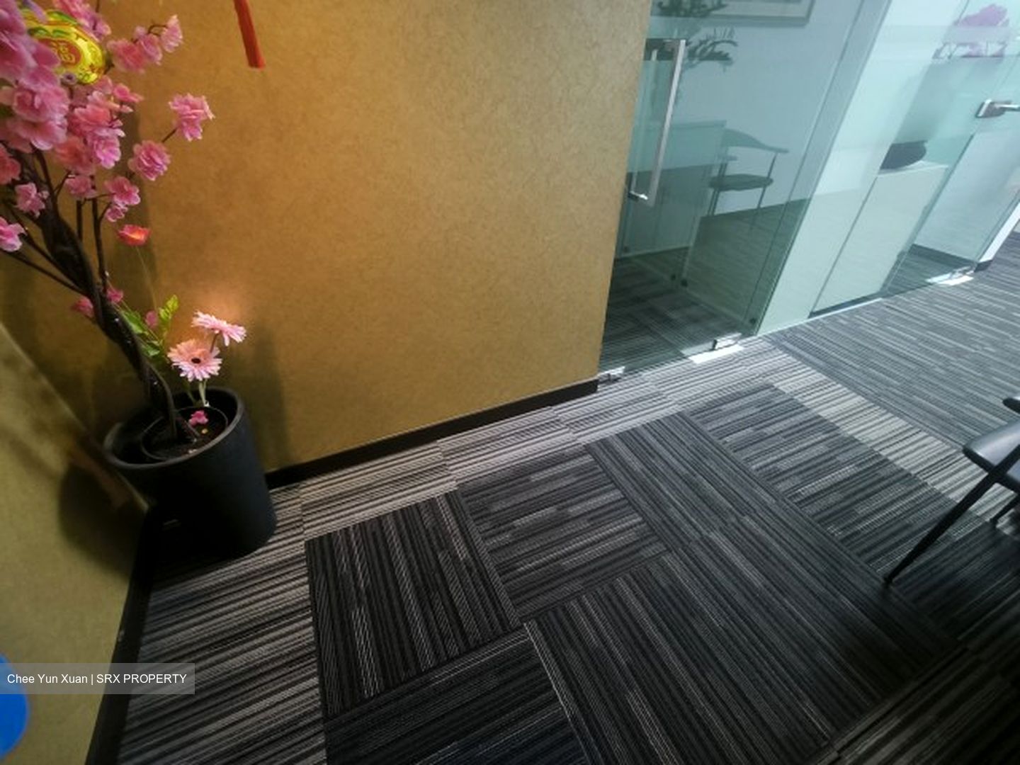 Paya Lebar Square (D14), Office #553877121